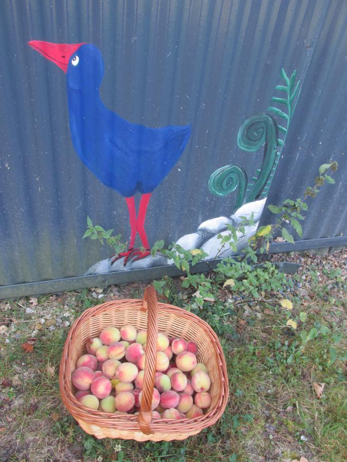 Pukeko Nest Chambres d hotes Faverolles  Eksteriør bilde